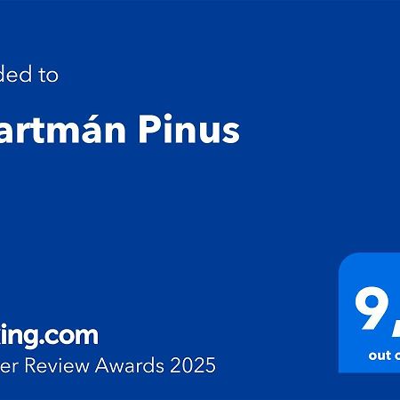 Apartman Pinus ドノヴァリ エクステリア 写真